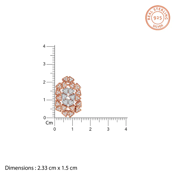 Dual Tone Aurora Angle Silver Earrings - Image 4