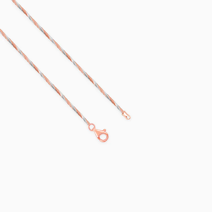 Dual Tone Rope Hasli Necklace - Image 4