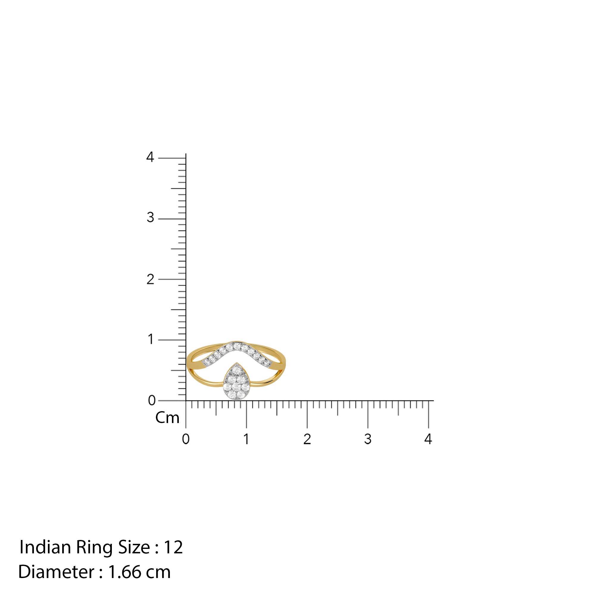 Gold Dual Path Lab Grown Diamond Ring (Size 12) - Image 6