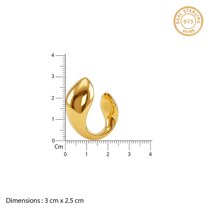 Golden Mod Dolphin Hoop Earrings - Image 5