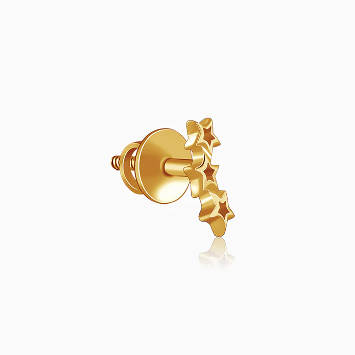Golden Multi Twinkle Earrings - Image 4