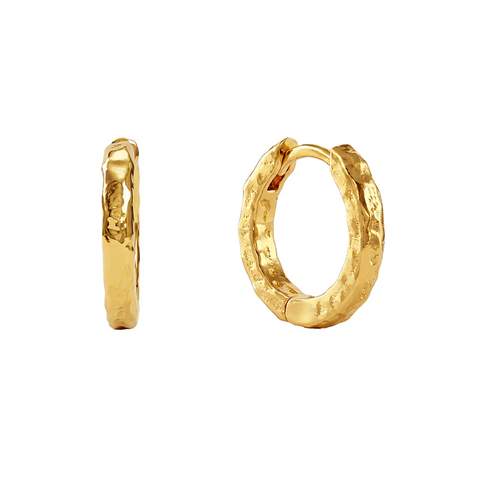 Golden Princess Hoop Earrings
