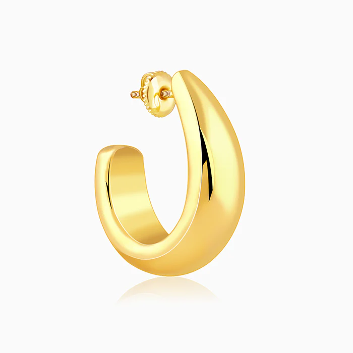 Golden Trendy Hoop Earrings - Image 4