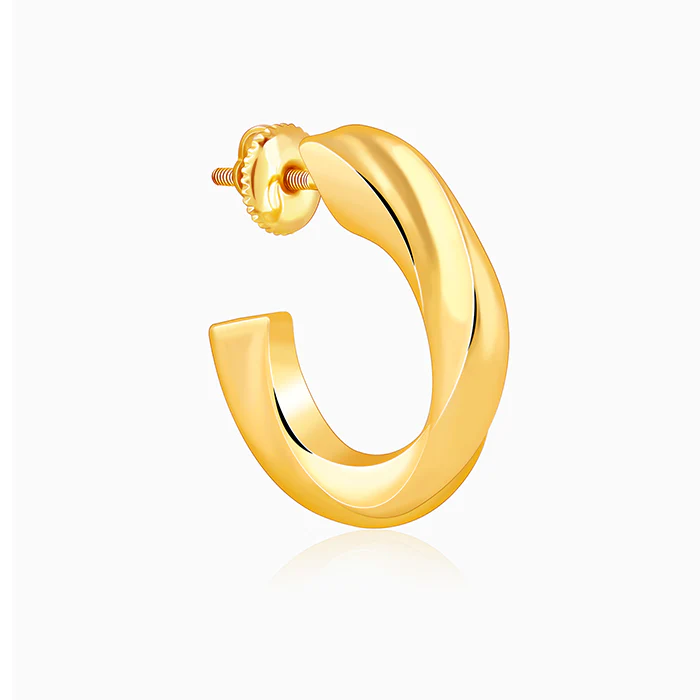 Golden Twisted Hoop Earrings - Image 4