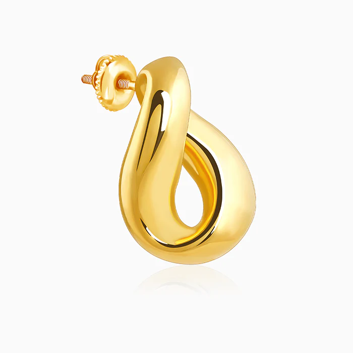 Golden Twisted Loop Earrings - Image 4